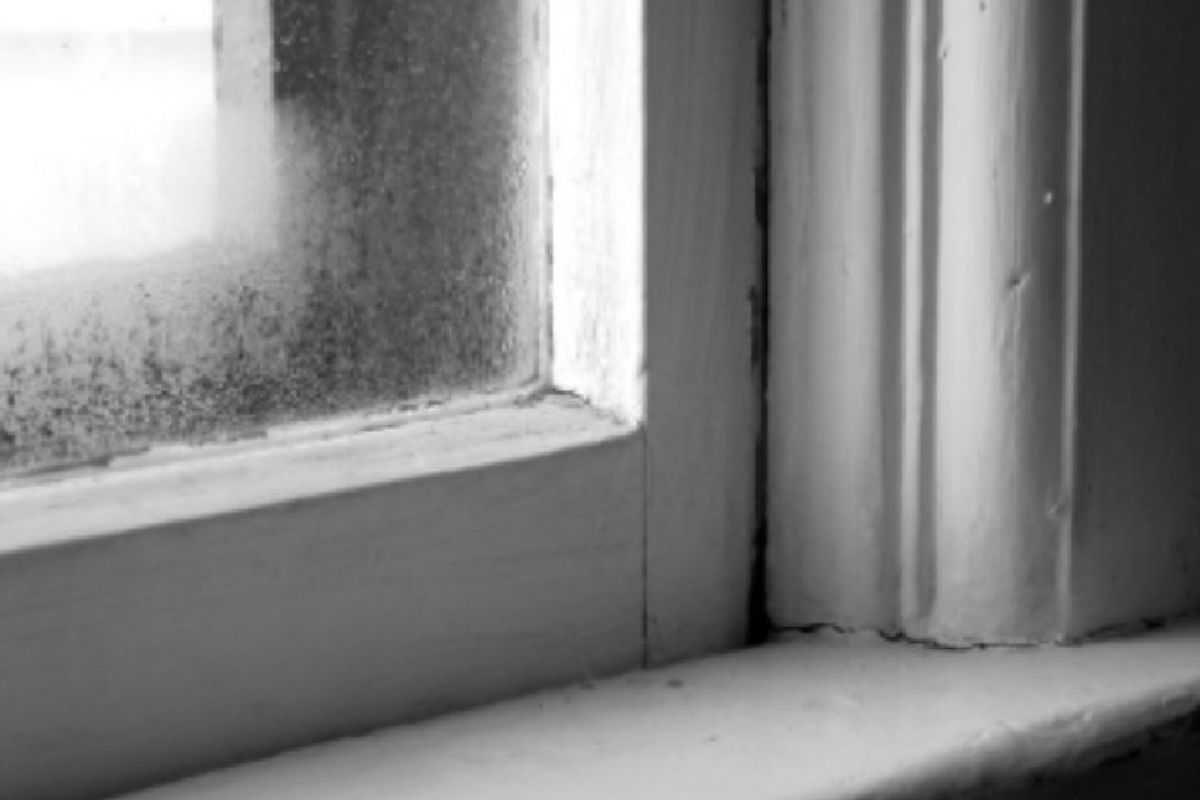 Pay Attention to These Signs Your Windows Need Help