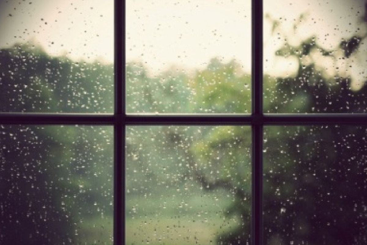 Why Should You Replace Your Windows