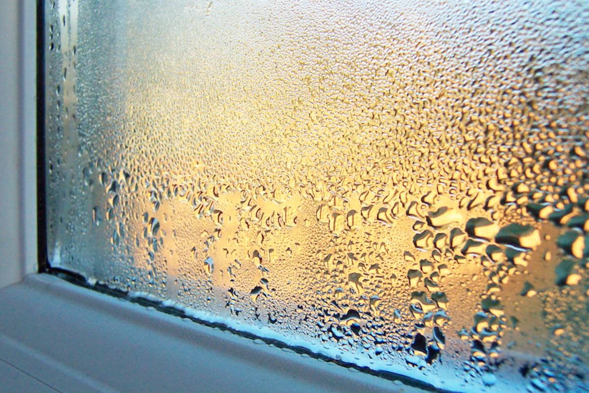 Prevent Condensation on Your Windows This Winter