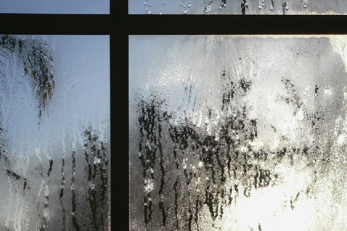 Window Condensation