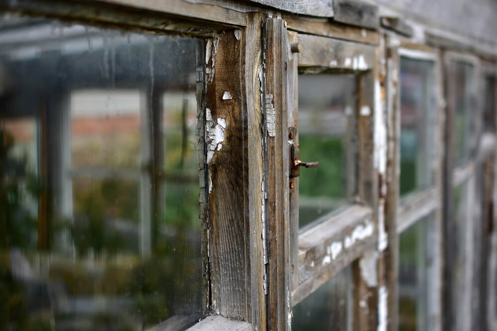 rotted window frame