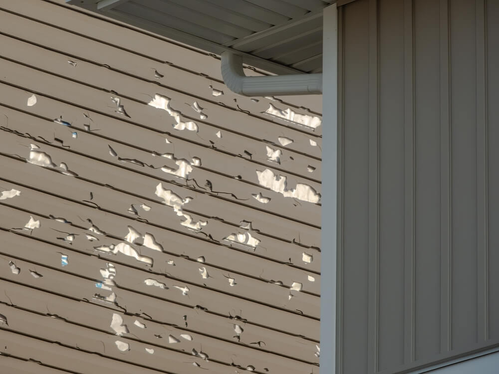 inspect your siding for damage